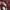 Nike Sportswear Casual Hoody Wanita burgundy photo 5