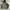 XLARGE GORPCORE JACKET OLIVE GREEN  photo 1
