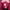 Minimalist Windbreaker Pria red photo 5