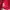 Minimalist Windbreaker Pria red photo 8