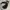 XLARGE NYLON WINDBREAKER GORPCORE JACKET BLACK  photo 2