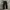 Vintage Y2K Jeans Pria black photo 2