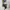 Fieldcore Sportswear Casual Windbreaker Pria white photo 7