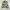 Stussy x Real tree work jacket Zip BNWT  photo 1