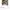 Stussy x Real tree work jacket Zip BNWT  photo 8