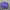 Sportswear Windbreaker Pria Purple