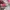 La senza remix 36C photo 4