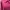 Holy peony crop kemeja - Pink photo 2