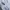 Avirex Vintage Sportswear T-shirt Pria gray photo 6