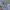 Avirex Vintage Sportswear T-shirt Pria gray photo 5