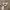 DICKIES DOUBLE POCKET BOXY WORK JACKET CREAM  photo 4