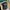 New Era Gremlin 9forty Adjustable photo 1