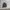 Hoodie Zipper carhart basic  photo 1