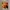 Vinyl Blur - The Great Escape  photo 2