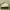 Unerd Footwear YinYang Pack White photo 2