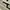 Unerd Footwear YinYang Pack White photo 4