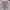 Kaos head benk photo 1
