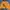 Timberland Luxury Minimalist Windbreaker Pria Yellow