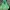 Jacket Outdor The North Face HyVent Velcro photo 5