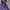 Jacket Outdor Nike ACG Outlet Purple photo 3