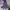 Jacket Outdor Nike ACG Outlet Purple photo 2