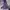 Jacket Outdor Nike ACG Outlet Purple