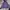 Jacket Outdor Nike ACG Outlet Purple