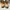 Timberland boots icon 6 inch photo 3