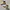 Timberland Boots Icon 6 Inch