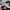 Hoodie Dickies 22 photo 7