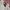 Kappa Vintage Jersey Pria white orange photo 6
