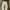 Dickies Streetwear Y2K Jeans Pria white photo 4