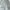 NIKE WINDRUNNER CANVAS JACKET BROKEN WHITE  photo 5