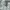 NIKE WINDRUNNER CANVAS JACKET BROKEN WHITE  photo 4