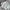 NIKE WINDRUNNER CANVAS JACKET BROKEN WHITE 