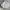 NIKE WINDRUNNER CANVAS JACKET BROKEN WHITE  photo 1