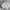 NIKE WINDRUNNER CANVAS JACKET BROKEN WHITE 
