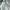 NIKE WINDRUNNER CANVAS JACKET BROKEN WHITE  photo 3