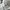 NIKE WINDRUNNER CANVAS JACKET BROKEN WHITE  photo 6