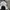 Hoodie Adidas Womens Cropped Big Logo photo 4