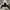 Hoodie Adidas Womens Cropped Big Logo photo 1