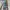 VTG ARTERYX BETA AR photo 5