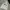 Who zipper white  photo 4