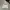 Who zipper white  photo 5