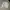 Zara crewneck white photo 5