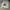 Zara crewneck white photo 2