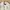Luxury Pea coat Wanita white photo 4