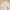Luxury Pea coat Wanita white photo 2
