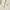 Luxury Pea coat Wanita white photo 3