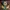 Vintage Streetwear Hat Pria green brown photo 2